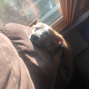 Meet your Posher, Jacob